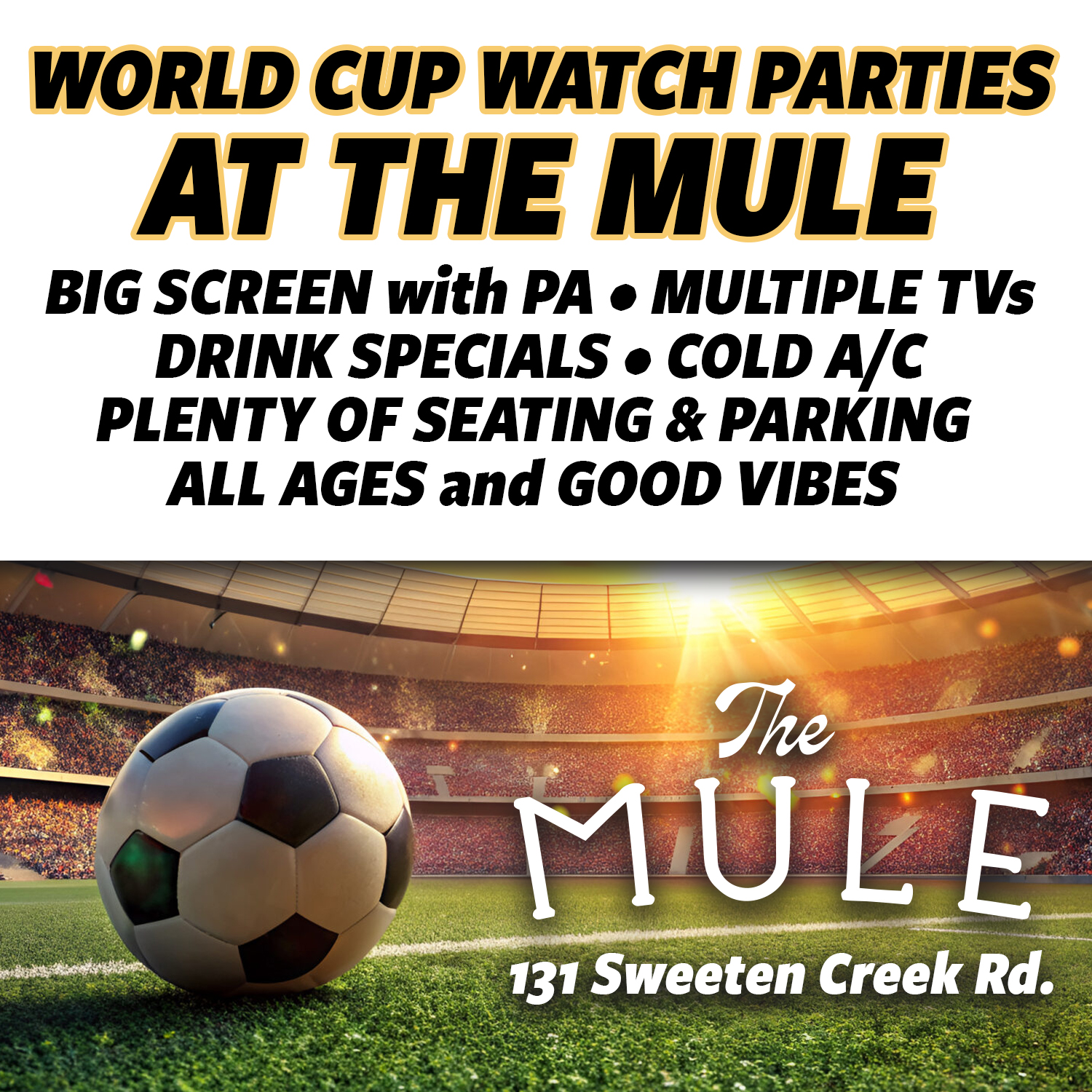 World Cup Main Image - website