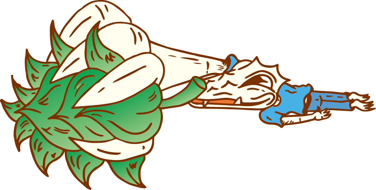 hops2
