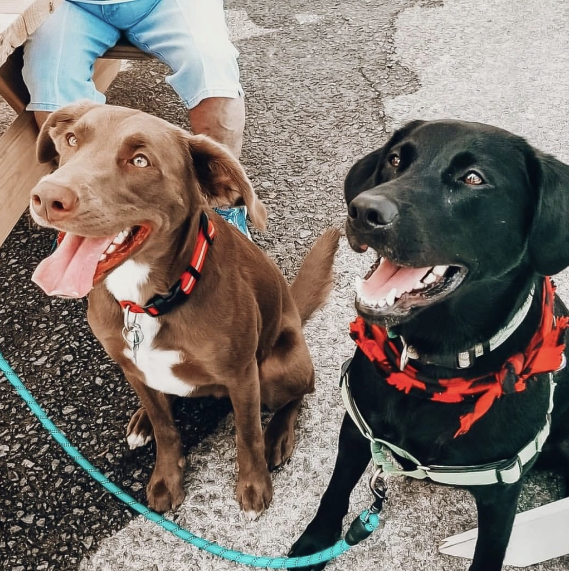 Screen Shot 2020-10-30 at 8.21.01 AM