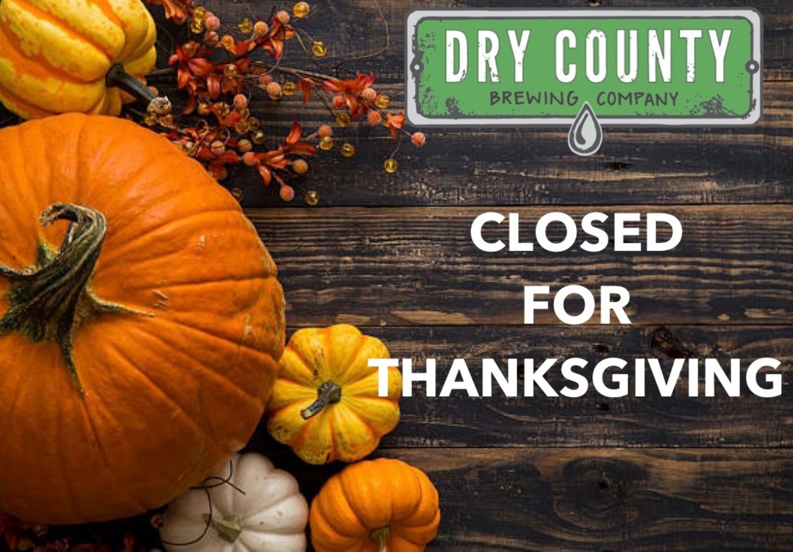 resized-image-Promo (7)