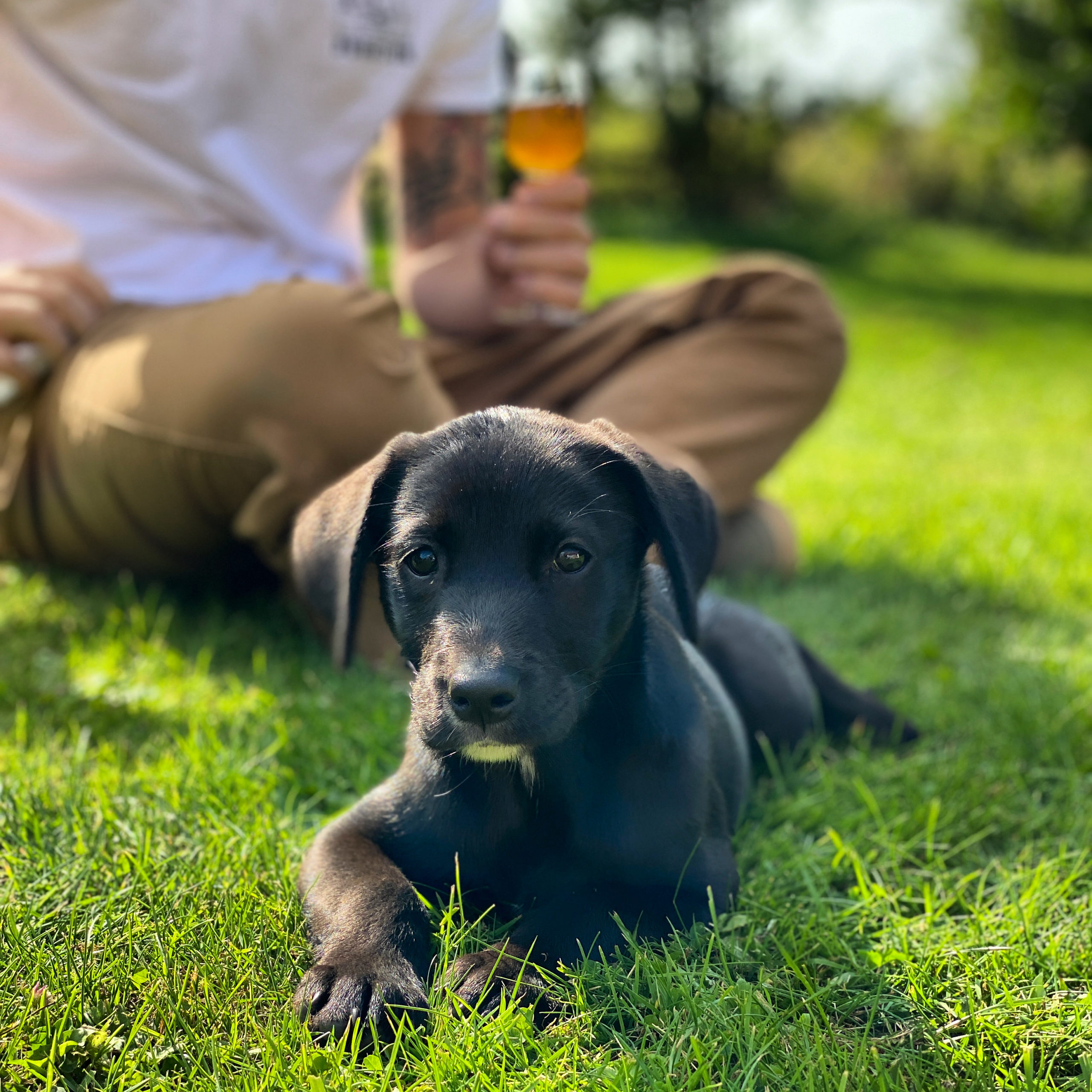 1D03CE07-147D-43EB-8356-89444DEAC186