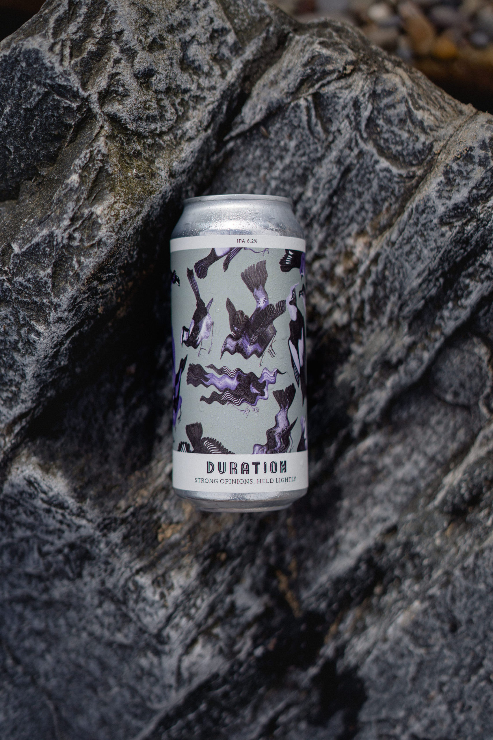 STRONG OPINIONS BEER DELIVERED