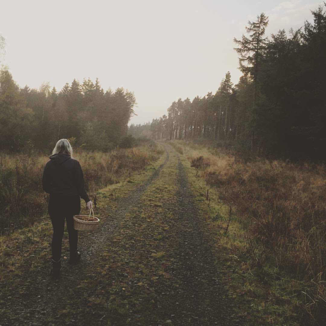 33f7ef58-e138-40ce-a5cb-83d9cc491594