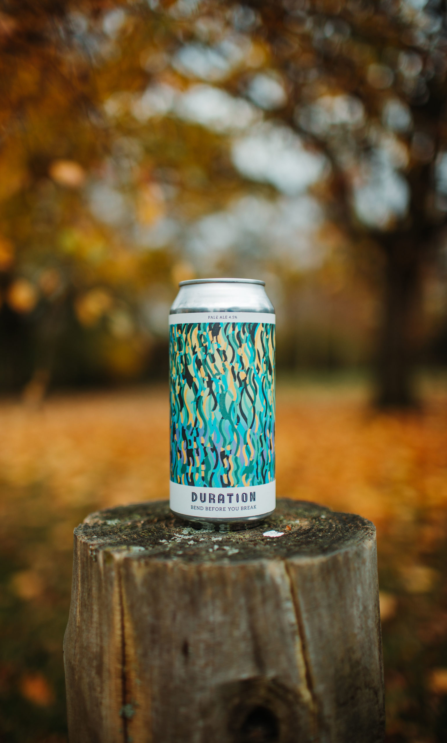 BEND BEFORE YOU BREAK BEER DELIVERED