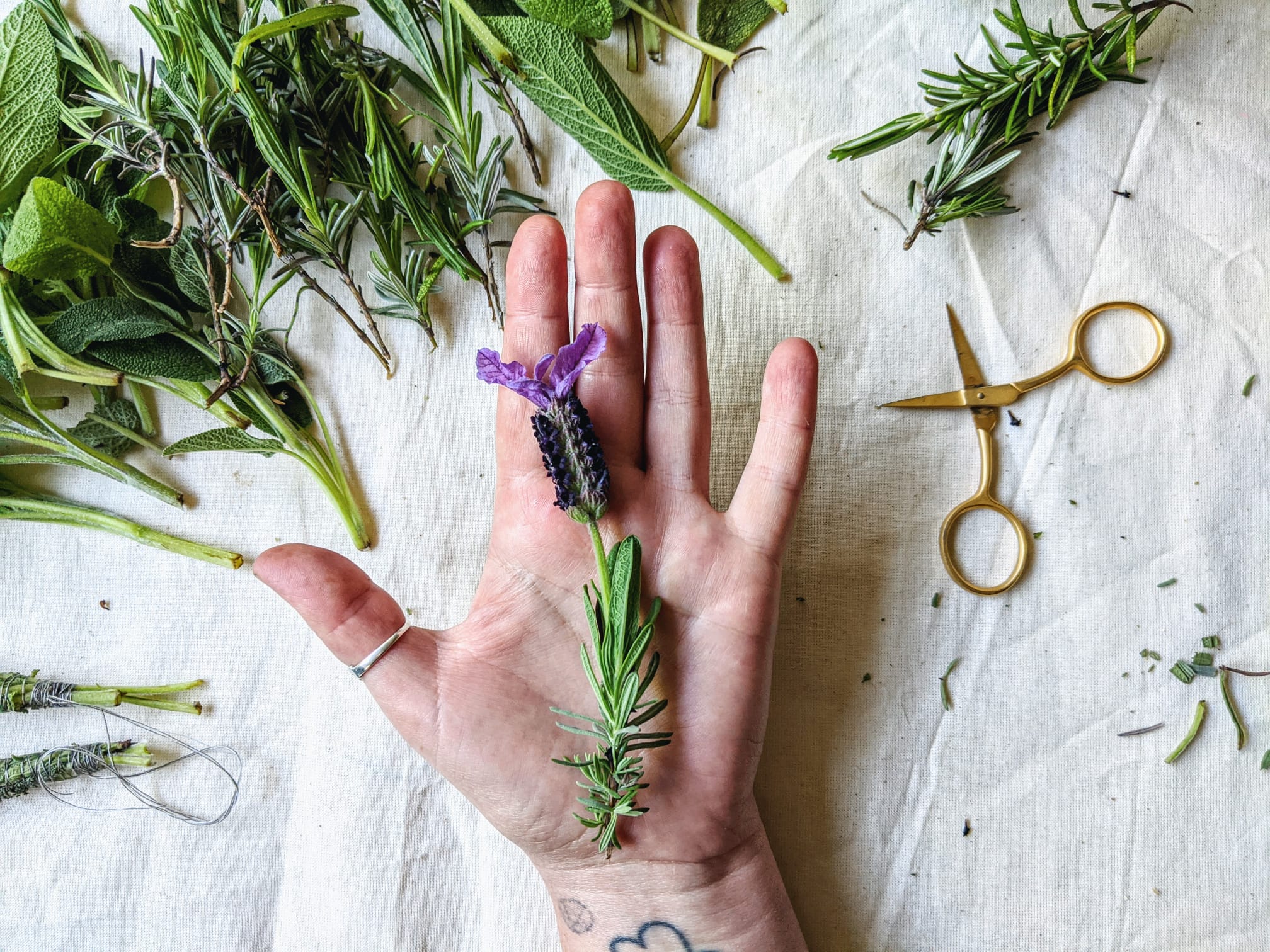 63896127-DC22-4142-9175-A7C6A6928655