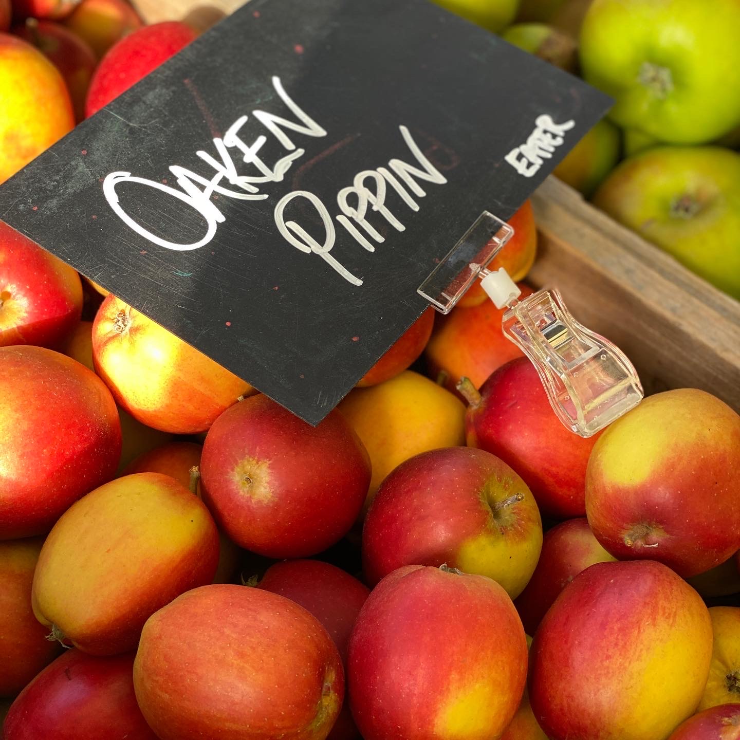 7C849A87-4C6F-4F1D-9AE4-3F72BB7E0E62