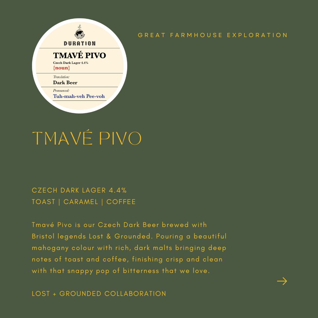 ANNOUNCE B - TMAVE PIVO (LOST + GROUNDED)