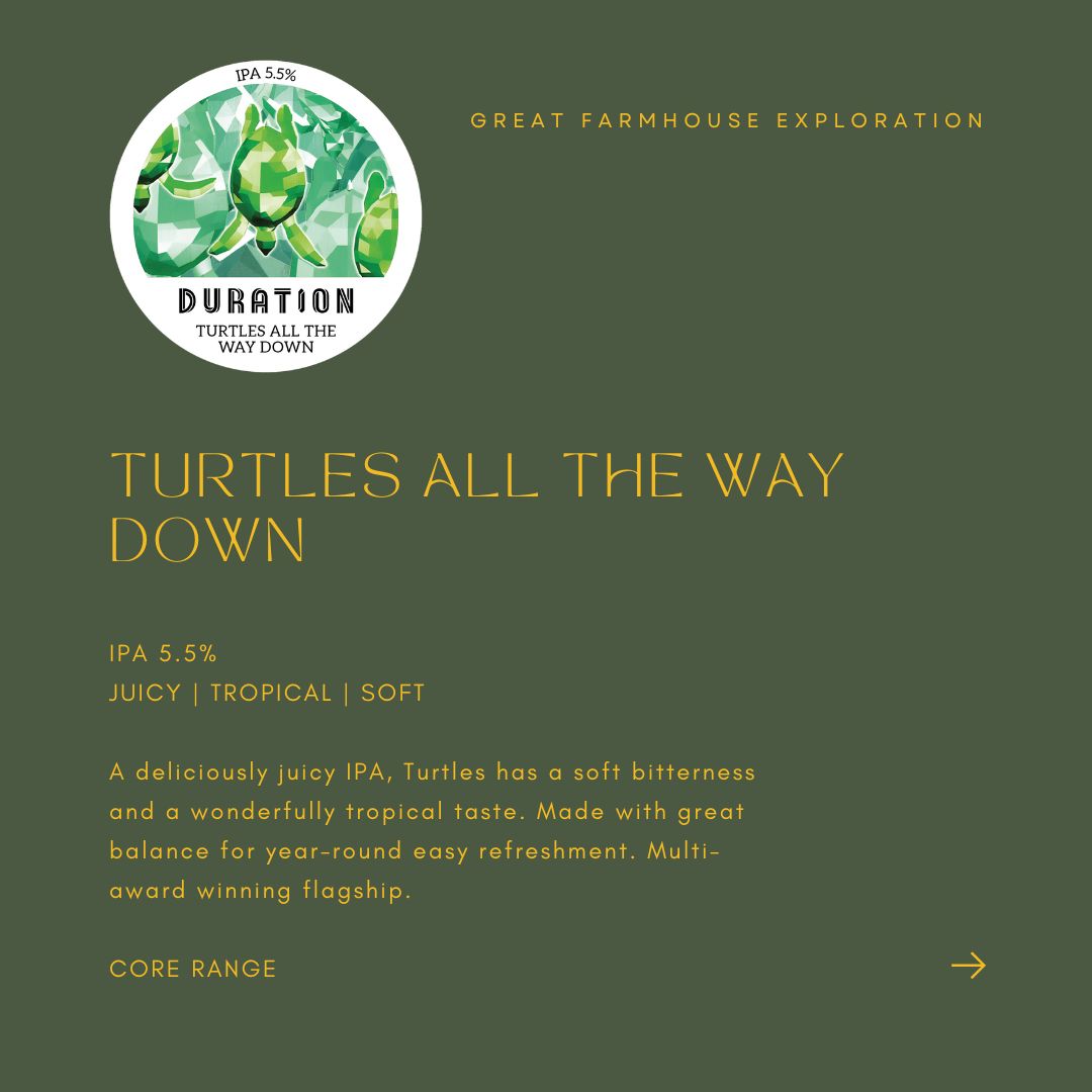 ANNOUNCE B - TURTLES ALL THE WAY DOWN