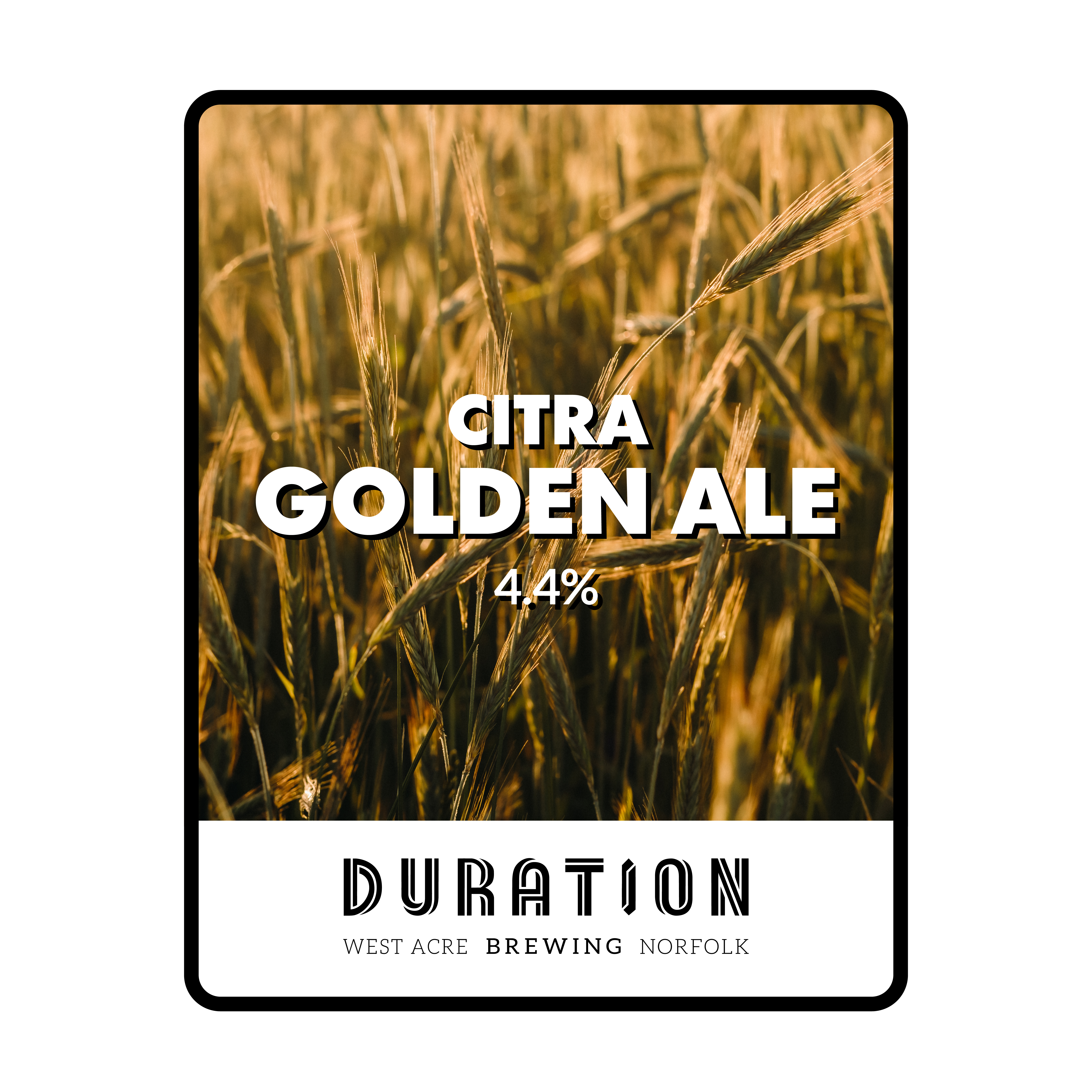 Image or graphic for Citra Golden Ale (Cask)