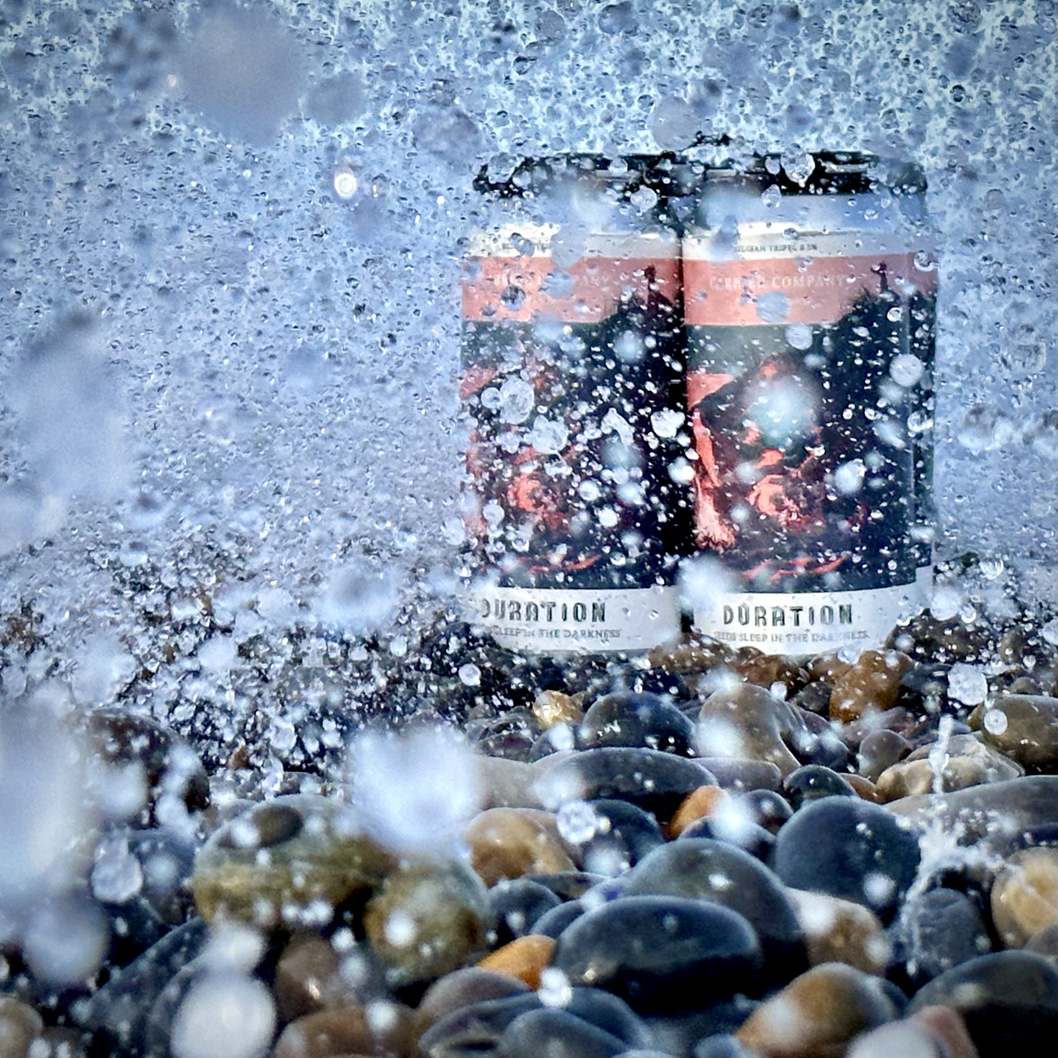 Credit Bertie Dyer (11)