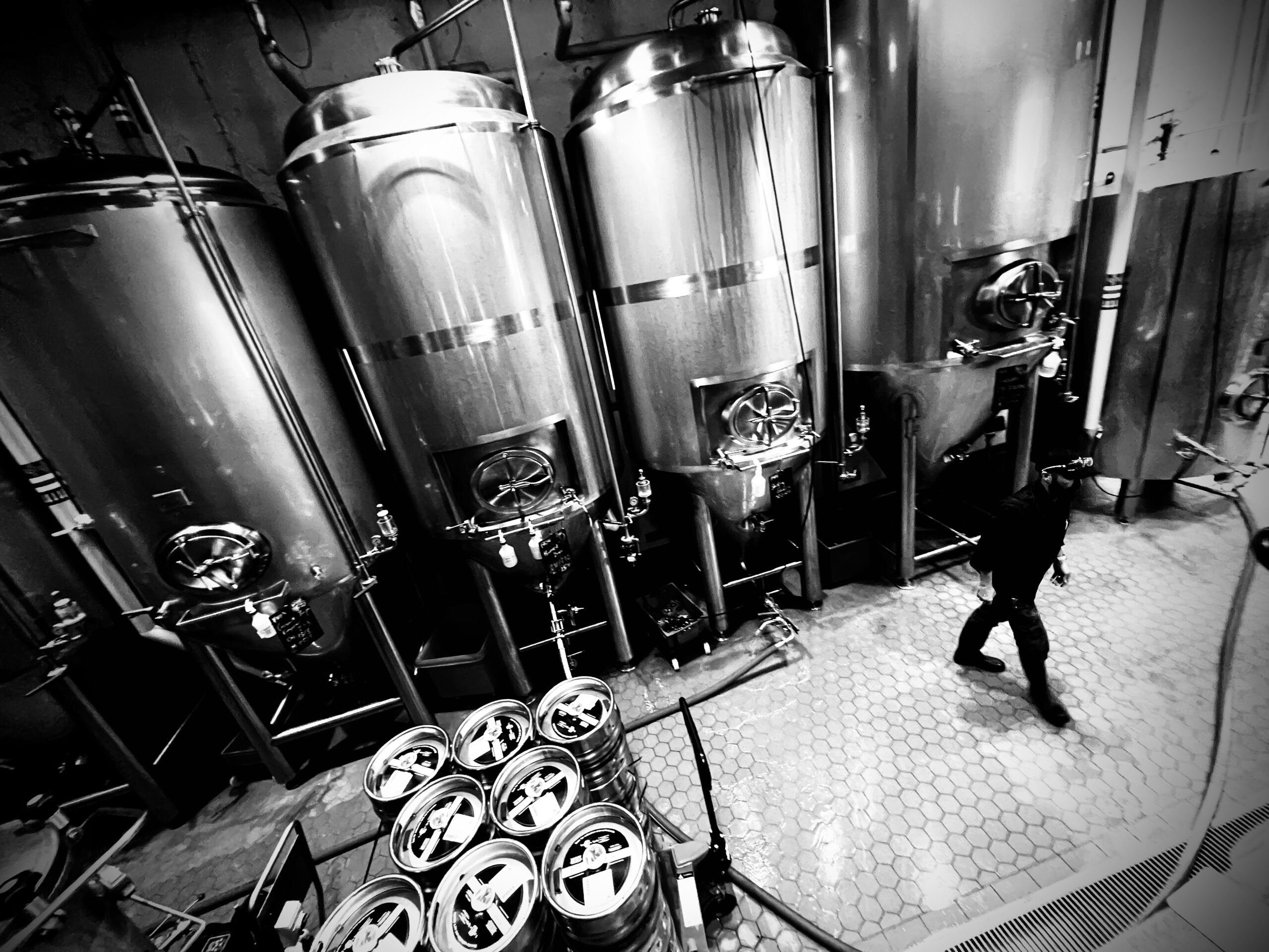 Credit Bertie Dyer (8)