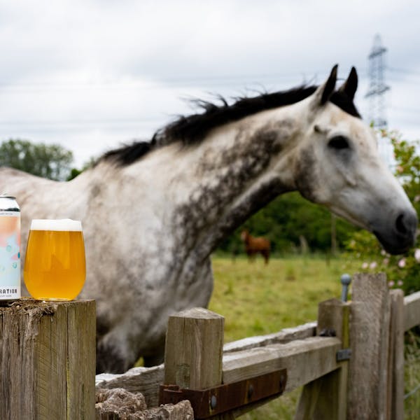 Destination Norfolk Brewery UK Beer