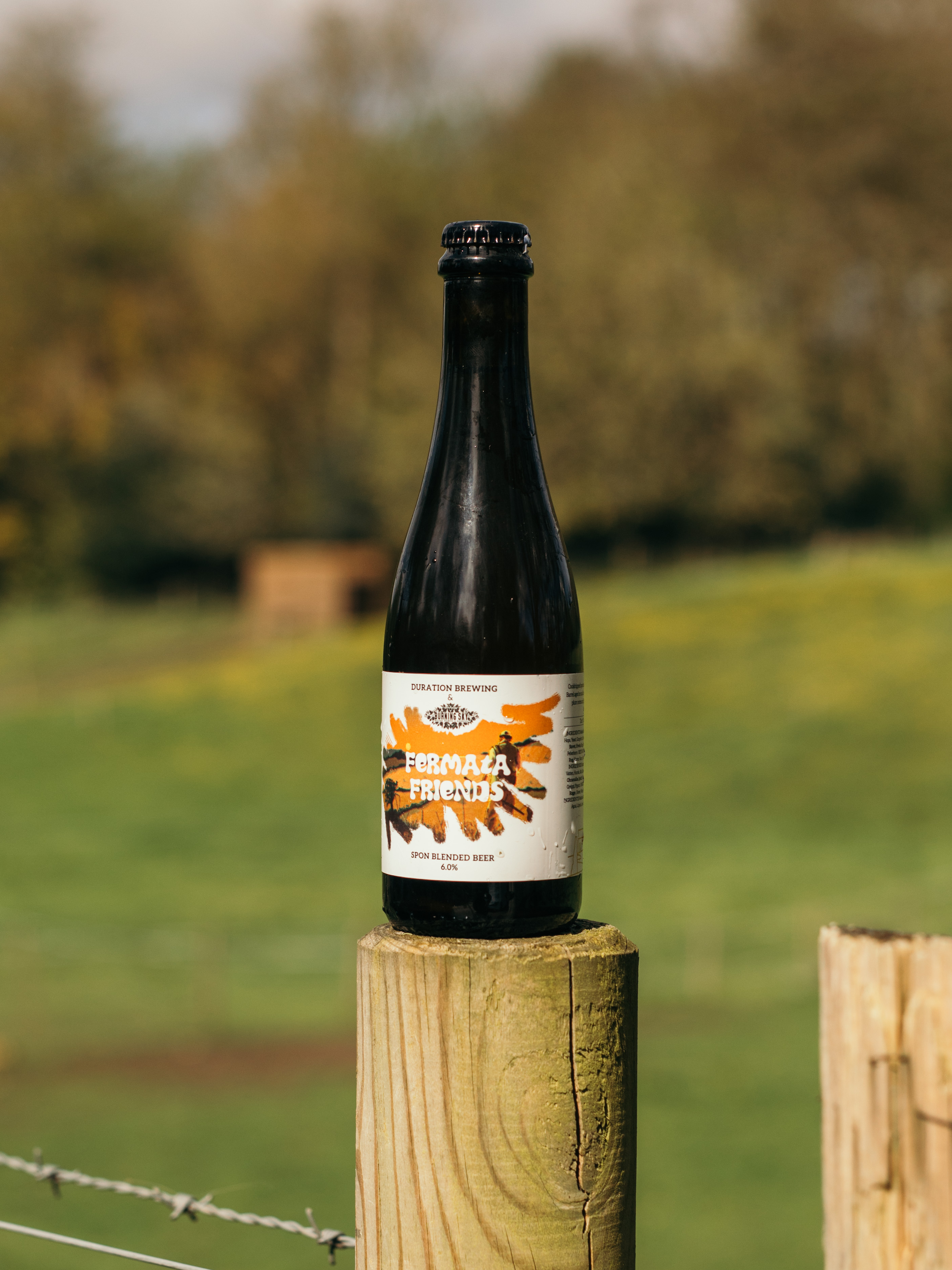 FERMENTA FRIENDS - BURNING SKY COLLAB-9