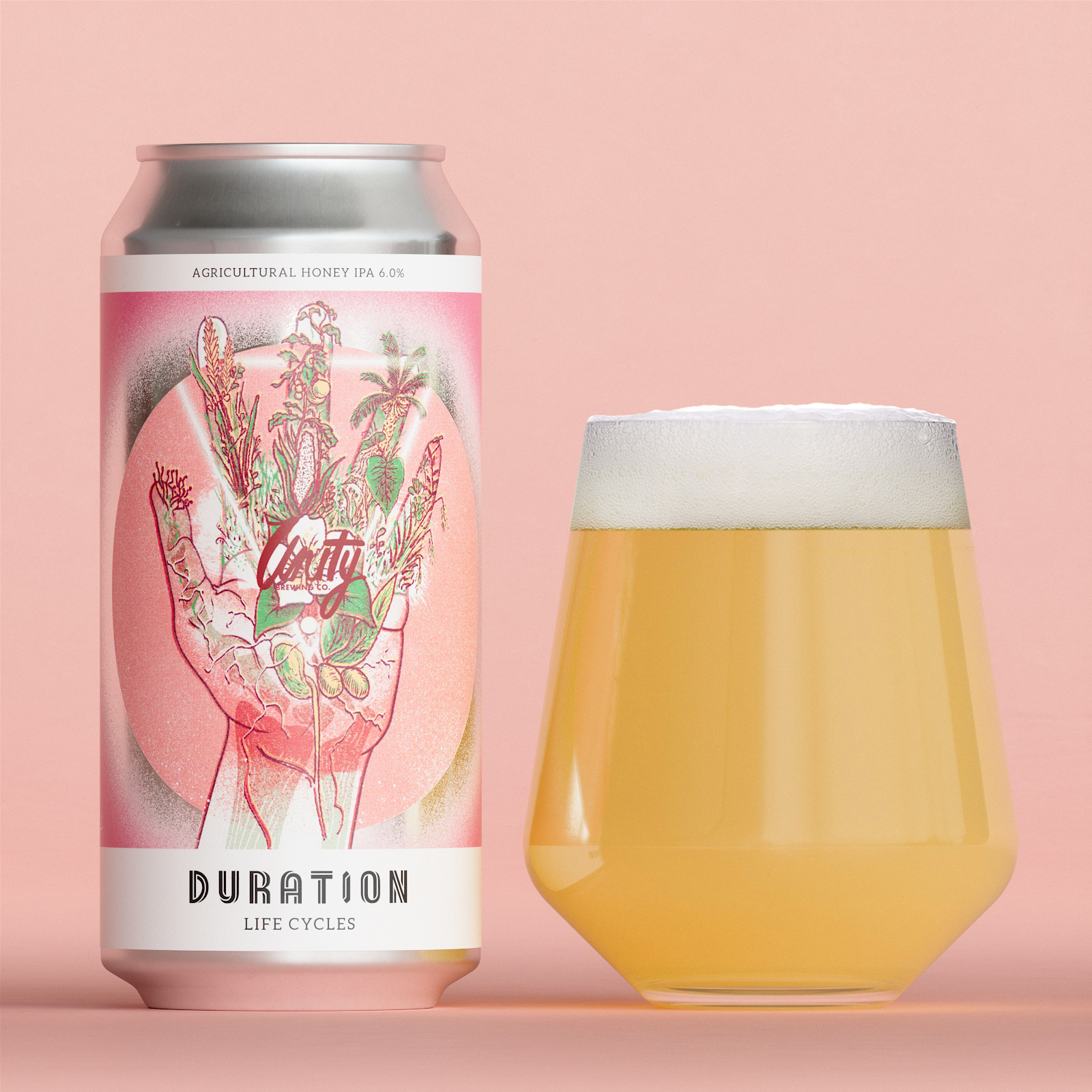 Image or graphic for Life Cycles (Special)