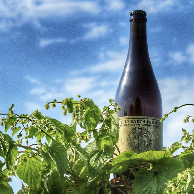 Little Earth Festival – Suffolk