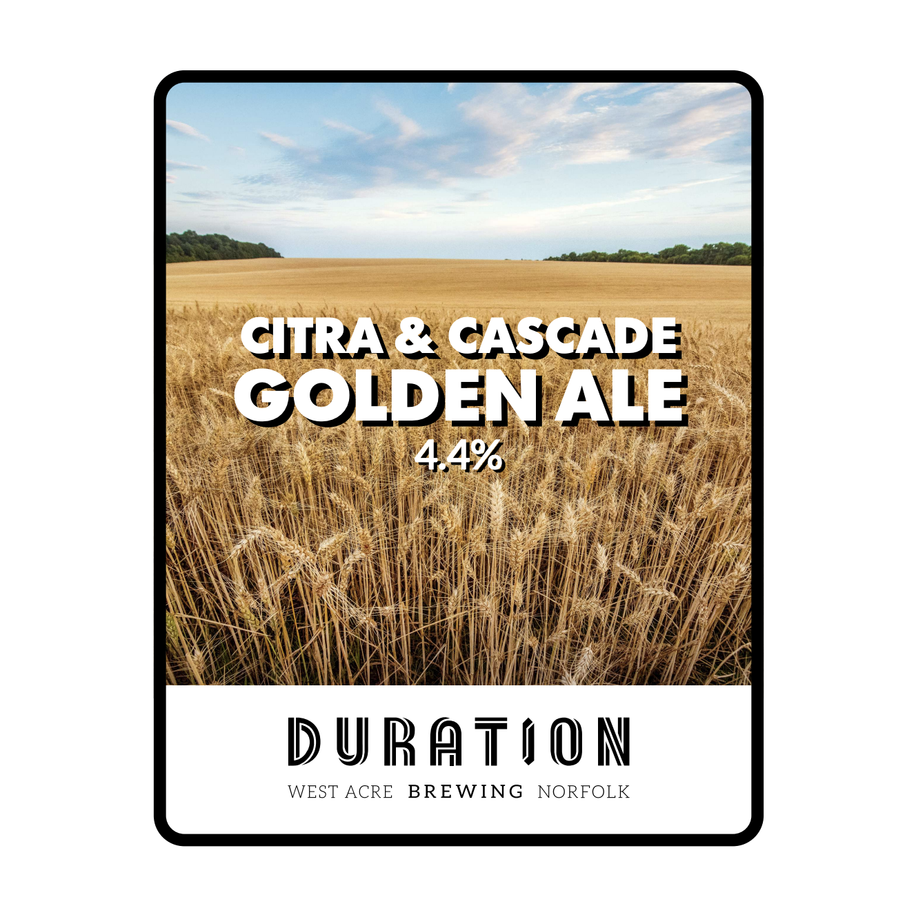 Image or graphic for Citra + Cascase Golden Ale (Cask)