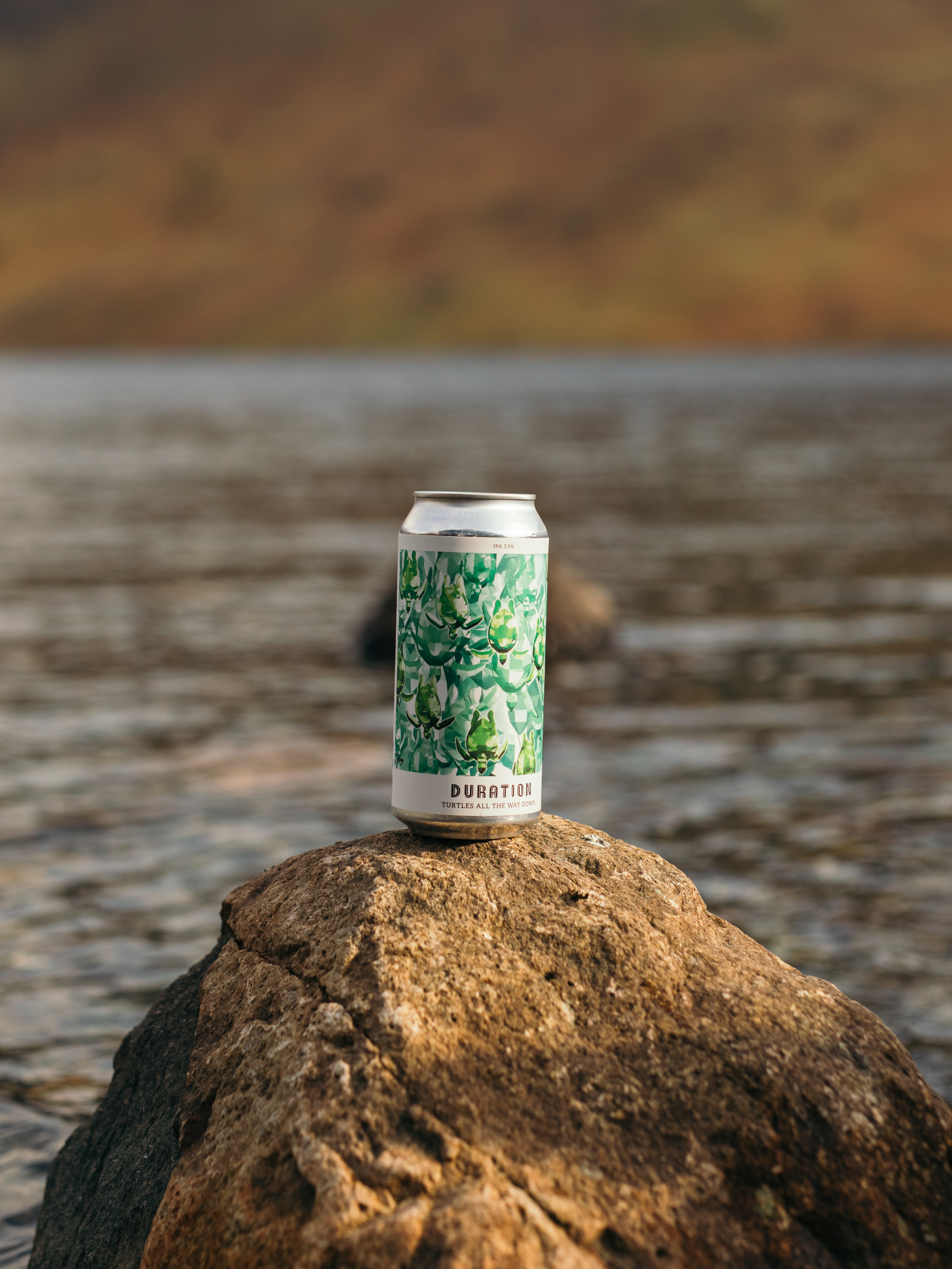 TURTLES - LAKE DISTRICT -1