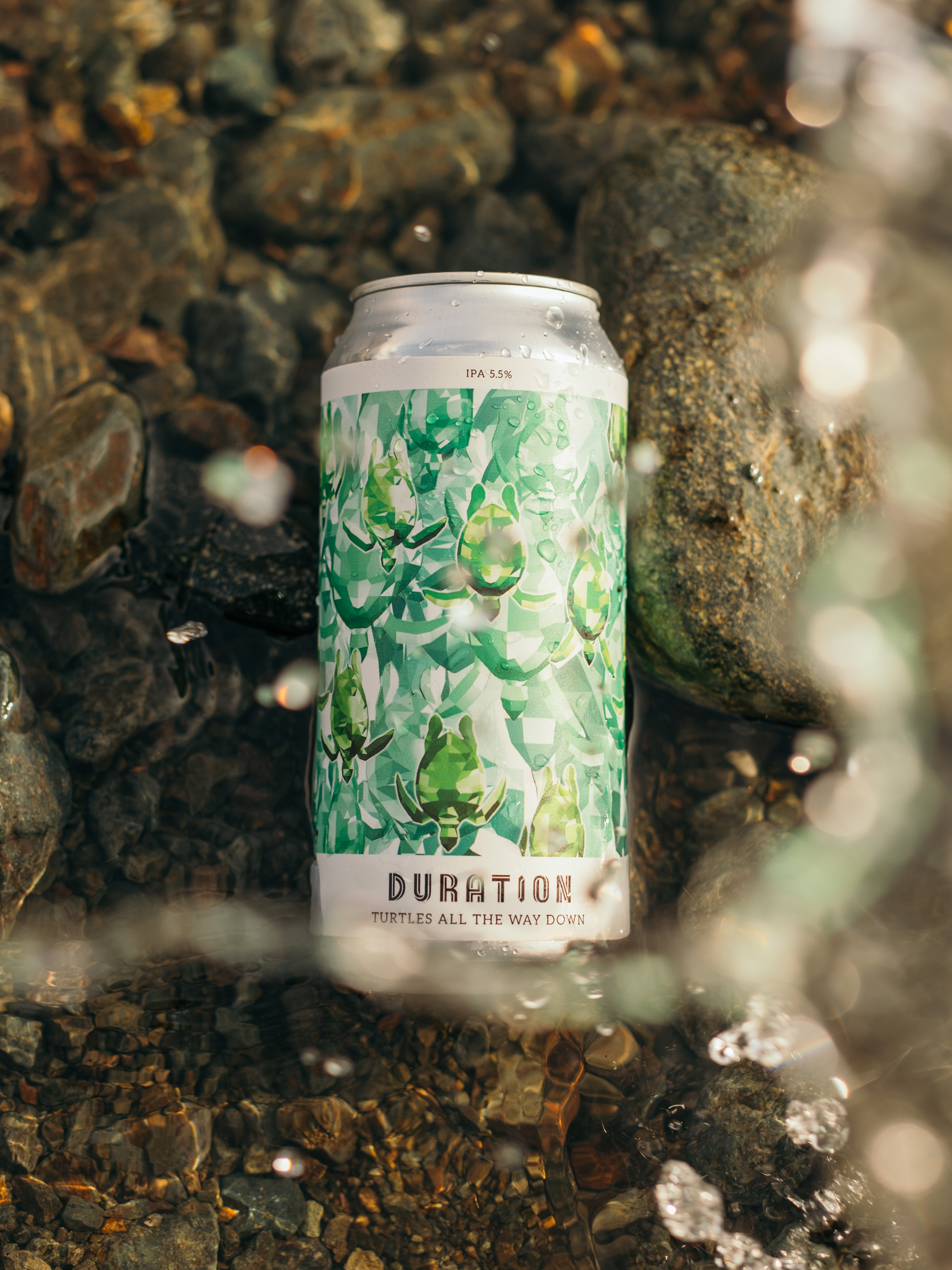 TURTLES - LAKE DISTRICT -5