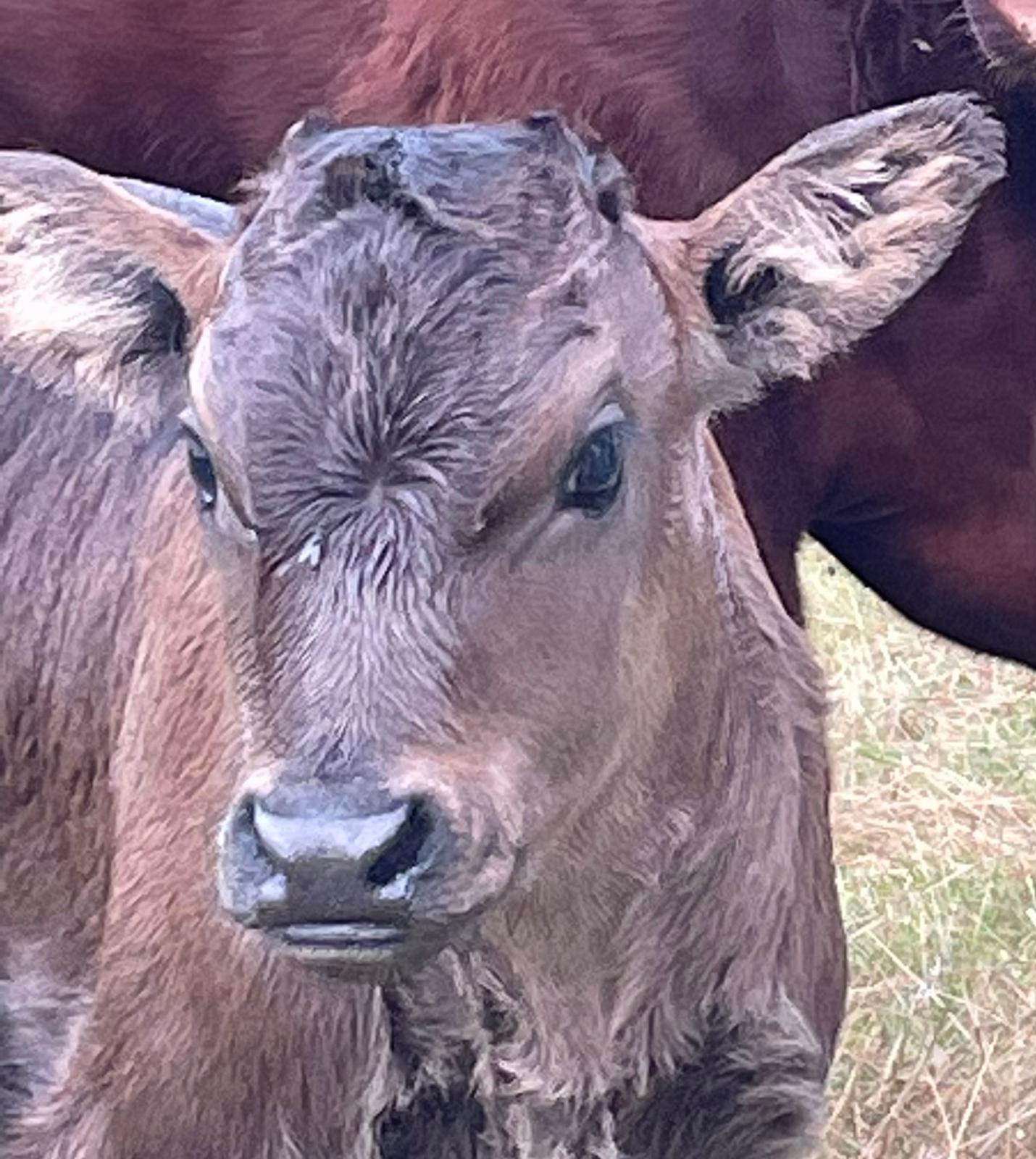 b1ad757a-3438-4f7a-bb5c-5aca5dcbbbf8