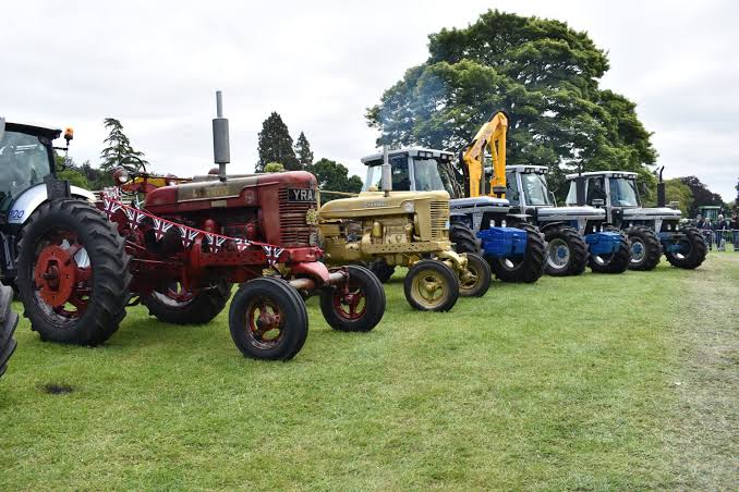 Wayland Agricultural Show