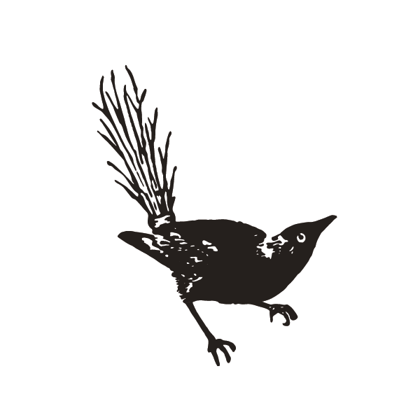 bird-icon