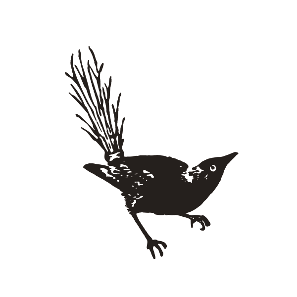 bird-icon