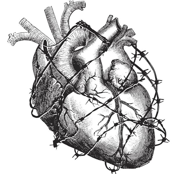 Graphic for Bitter Heart