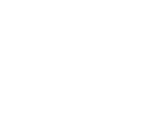 butterflies-white