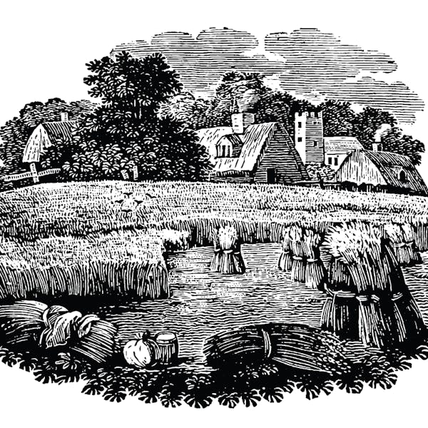 countrywheat countrywheat