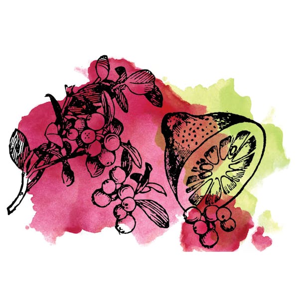 cranberrylime Graphic for Sour Cranberry Lime