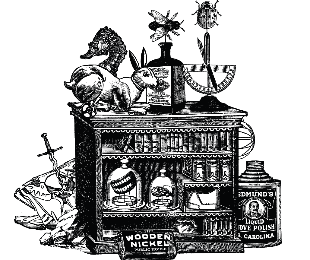 curiosandcuriosities