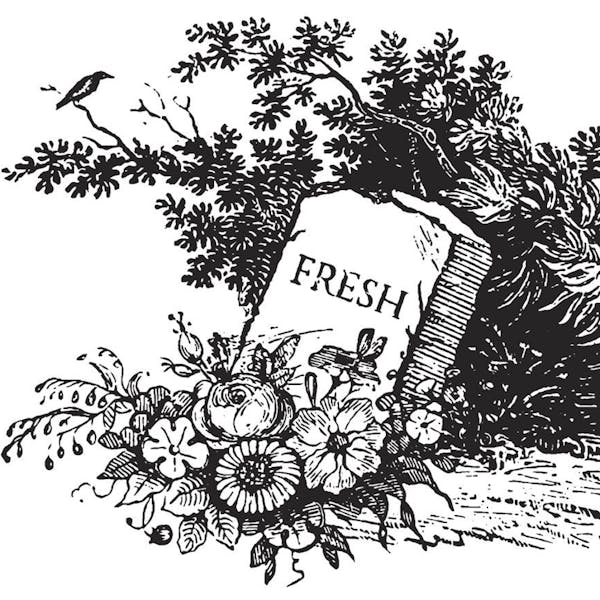 Graphic for Death to Fresh