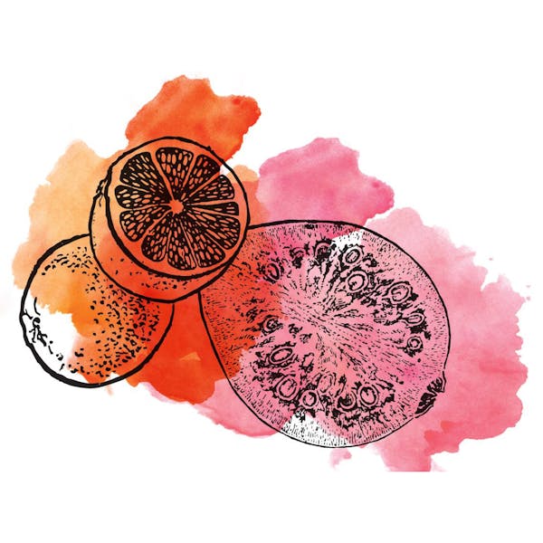 guavatangerine Graphic for Sour Guava Tangerine