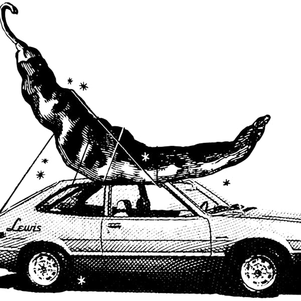 hatchback hatchback