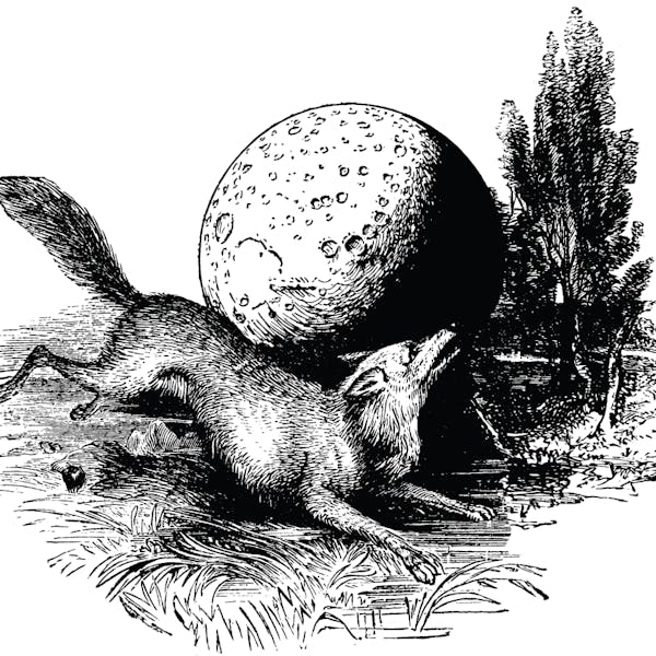 Image or graphic for Howls In The Night
