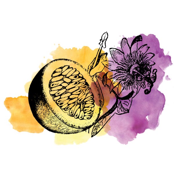 passionfruit Graphic for Sour Passionfruit