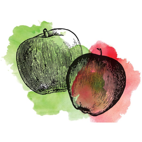 sourapple Graphic for Sour Apple