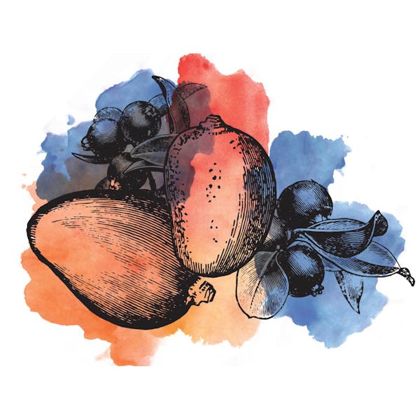 sourblueberrymango Graphic for Sour Blueberry Mango