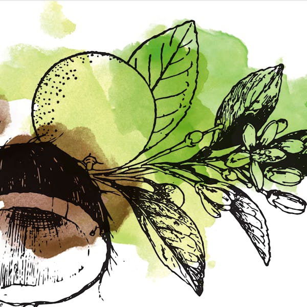 sourcoconutlime sourcoconutlime