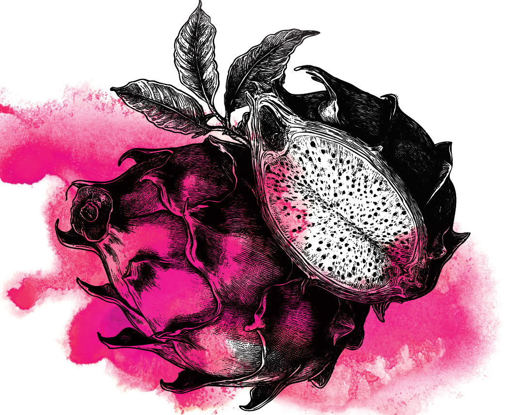 sourdragonfruit