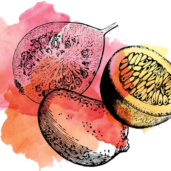 sourguavamangopassionfruit sourguavamangopassionfruit