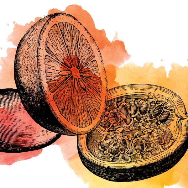 sourmangoorangepassionfruit sourmangoorangepassionfruit