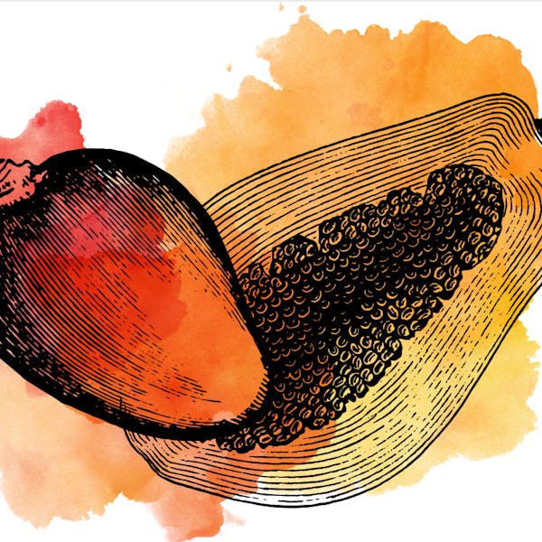 Image or graphic for Sour Mango Papaya