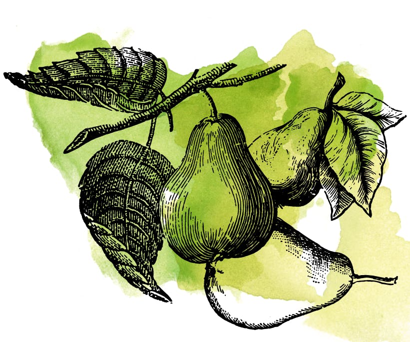 Sour Pear Edmunds Oast Brewing Co