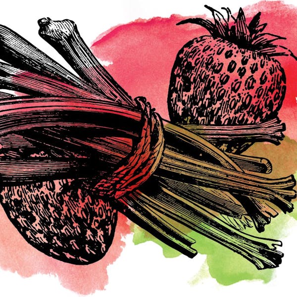 sourstrawberryrhubarb sourstrawberryrhubarb