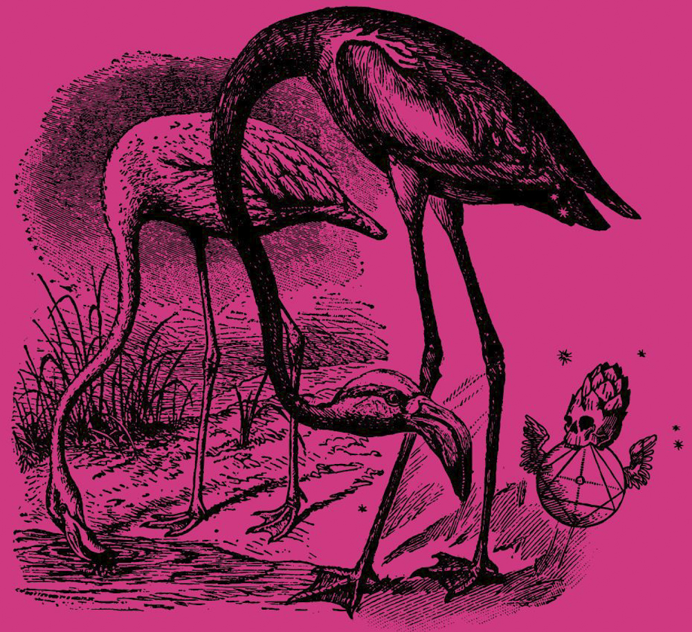 Image or graphic for The Co-Op