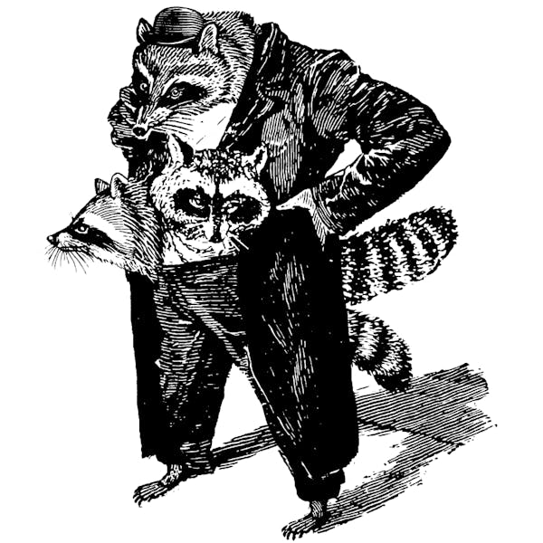Image or graphic for Three Raccoons In A Trench Coat