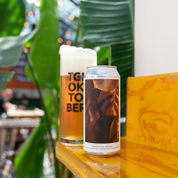 amber beer in glass with plants