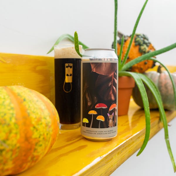dark beer in glass with pumpkins and plants