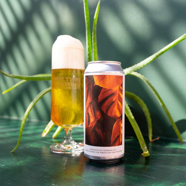 lager beer in stemmed glass with can of beer and aloe plant